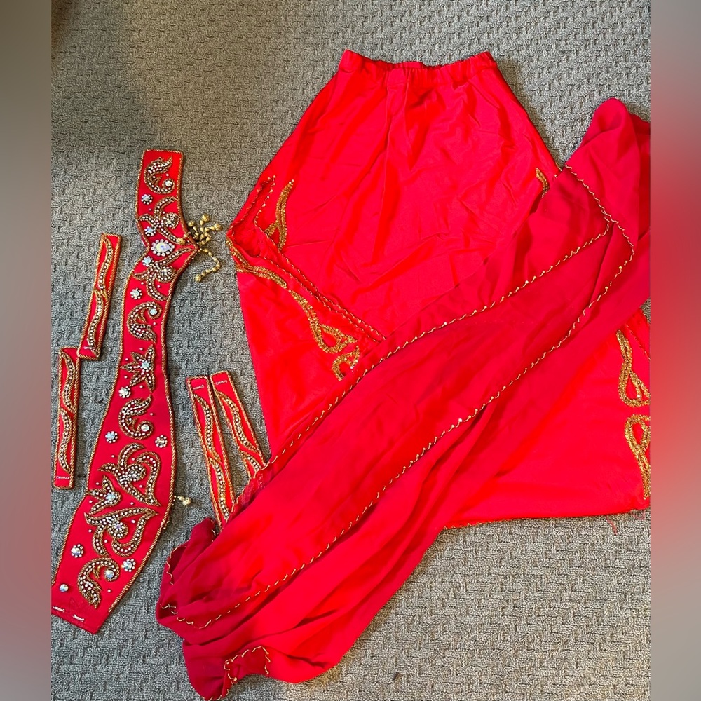 BELLY DANCE costume  made in Egypt, hand beaded stunning , a piece Of art.